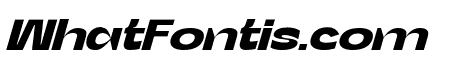 Salvador Abstract Bold Italic