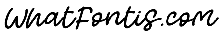 Singer Story Italic Regular