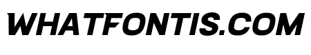 SportField-Italic