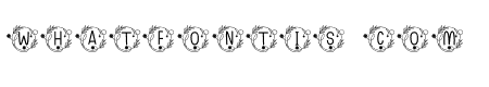 sunlower monogram