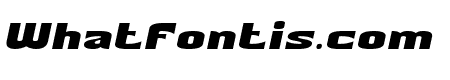 Survivor Life Italic