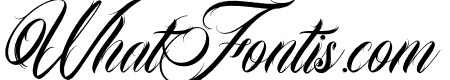 Tattoo Studio Mark 2