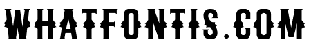 Texas Austin