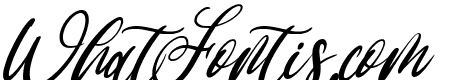 Xylophones Italic