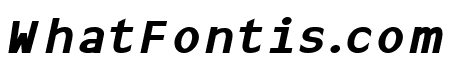 LJDS Sans Bold Italic DEMO