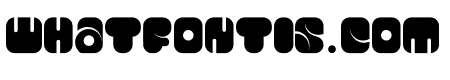 Capsule Robot