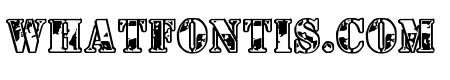 1st Cav