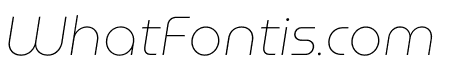 Museomoderno Thin Italic