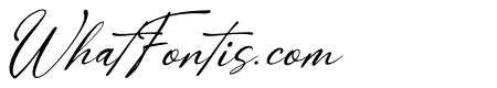 Aureliya Homnalej Italic