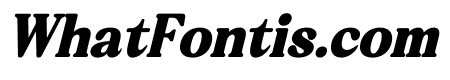 Bristle Radiant Italic