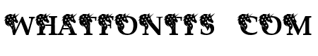 Charlotte Monogram