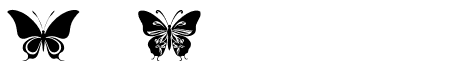 Charm Butterfly Regular