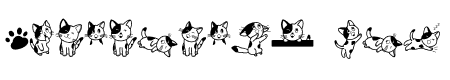 Doodle cat