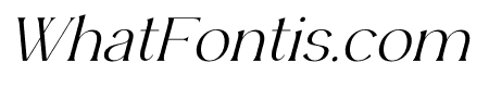 Ergisa Italic