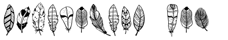 Feather Doodle