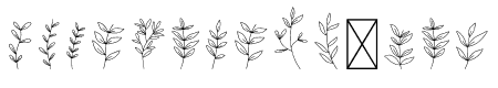 FlowersLeaves