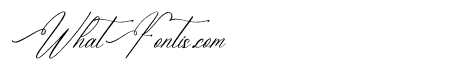 Hidasatie Bastirona Italic