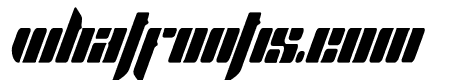 Horesco Italic Tall Stencil
