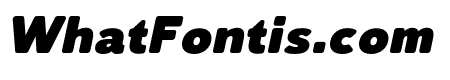 LusioSoft-BlackItalic