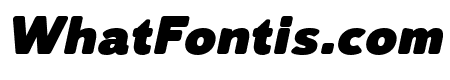 Lusio Soft Black Italic