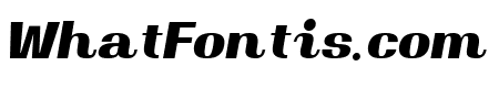 Magate Bold Italic