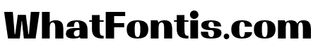 Magate Bold