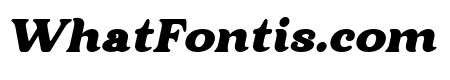 Midnight Illusion Italic