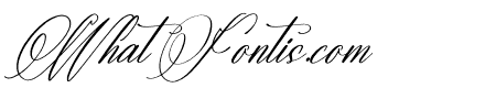 Natassha Sintaleny Italic