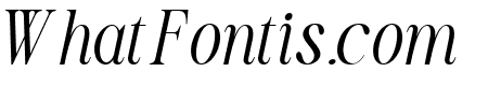 TBJ Olivia Nineties Italic