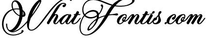 Perfecto Calligraphy Bold