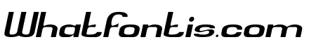 Philanthropist Italic