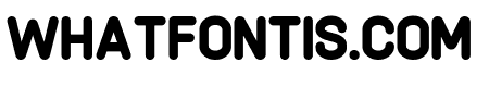 Phorvine Rounded