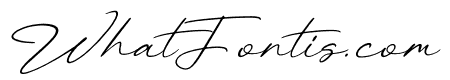 Rhinayza Italic