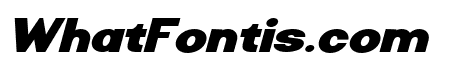 Riamo Sans Black Italic