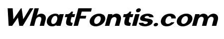 RiamoSans-Italic