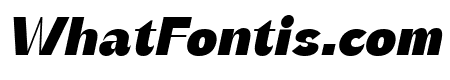 Rochas Black Italic