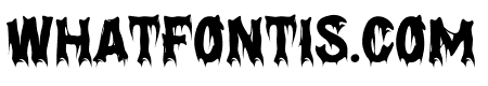 Shadows  Fright