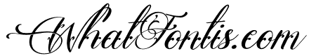 Singaley Italic