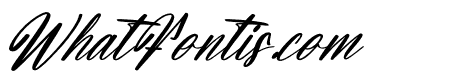 Snapshot Dreams Italic