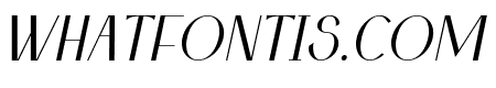 Sonice Italic