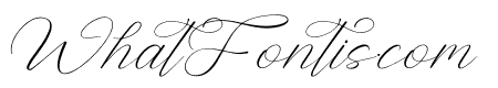 Sophiany Natalya Italic