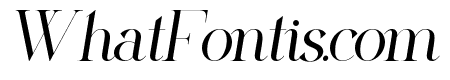 The Shyte Italic