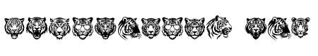 Tiger Face