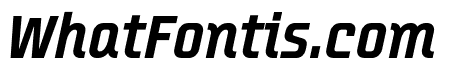 Transfer-EItalic