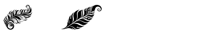 tribal feather Regular