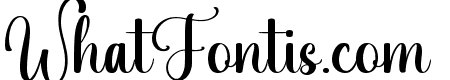 Umbrella Script