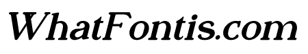 Vintage Vinyl Italic