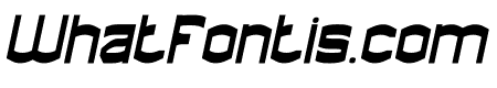 WORD DISCOVERER Bold Italic