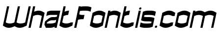 WORD DISCOVERER Italic