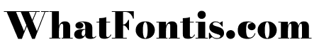 Bodoni Moda SC 900